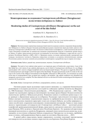 МОНИТОРИНГОВЫЕ ИССЛЕДОВАНИЯ CRANIOSPERMUM SUBVILLOSUM (BORAGINACEAE) НА ВОСТОЧНОМ ПОБЕРЕЖЬЕ ОЗ. БАЙКАЛ