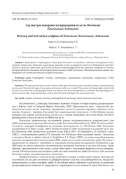 СКУЛЬПТУРА ПОВЕРХНОСТИ ПЕРИКАРПИЯ И ТЕСТЫ DORONICUM (SENECIONEAE: ASTERACEAE)