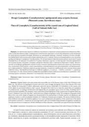 ФЛОРА CYANOPHYTA (CYANOBACTERIOTA) ПРИБРЕЖНОЙ ЗОНЫ ОСТРОВА ГОГЛАНД (ФИНСКИЙ ЗАЛИВ, БАЛТИЙСКОЕ МОРЕ)