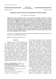Особенности оптической среды поверхности семян растений