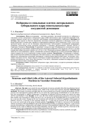 Нейроны и глиальные клетки латерального туберального ядра гипоталамуса при сосудистой деменции