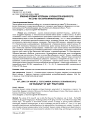 ВЛИЯНИЕ ВРЕДНОЙ ЧЕРЕПАШКИ (EURYGASTERINTEGRICEPS) НА КАЧЕСТВА ЗЕРНА МЯГКОЙ ПШЕНИЦЫ