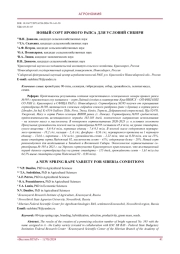 Новый сорт ярового рапса для условий Сибири