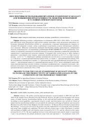 ПЕРСПЕКТИВЫ ИСПОЛЬЗОВАНИЯ ШТАММОВ SINORHIZOBIUM MELILOTY  ДЛЯ ПОВЫШЕНИЯ ПРОДУКТИВНОСТИ ЛЮЦЕРНЫ ИЗМЕНЧИВОЙ  В УСЛОВИЯХ ПРИМОРСКОГО КРАЯ