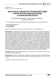 ВОЗРАСТНЫЕ ОСОБЕННОСТИ СТРОЕНИЯ ЗЕЙГОПОДИЯ СОБОЛЯ ЧЕРНОЙ ПУШКИНСКОЙ ПОРОДЫ В СРАВНИТЕЛЬНОМ АСПЕКТЕ