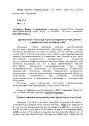 Криминальная субкультура в среде несовершеннолетних, причины и профилактика ее распространения
