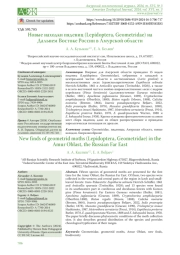 НОВЫЕ НАХОДКИ ПЯДЕНИЦ (LEPIDOPTERA, GEOMETRIDAE) НА ДАЛЬНЕМ ВОСТОКЕ РОССИИ В АМУРСКОЙ ОБЛАСТИ