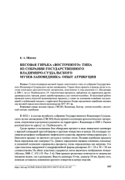 ВЕСОВАЯ ГИРЬКА «ВОСТОЧНОГО » ТИПА из СОБРАНИЯ ГОСУДАРСТВЕННОГО ВЛАДИМИРО-СУЗДАЛЬСКОГО МУЗЕЯ-ЗАПОВЕДНИКА: ОПЫТ АТРИБУЦИИ