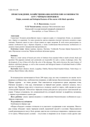 ПРОИСХОЖДЕНИЕ, ХОЗЯЙСТВЕННО-БИОЛОГИЧЕСКИЕ ОСОБЕННОСТИ КУР С ЧЁРНЫМ ОПЕРЕНИЕМ