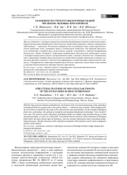 ОСОБЕННОСТИ СТРУКТУР НЕКЛЕТОЧНЫХ ТКАНЕЙ ОРГАНИЗМА ЧЕЛОВЕКА ПРИ ОХРОНОЗЕ