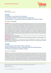 СОЗДАНИЕ И ИЗУЧЕНИЕ КОЛЛЕКЦИИ ИНТРОГРЕССИВНЫХ ЛИНИЙ МЯГКОЙ ПШЕНИЦЫ, ПОЛУЧЕННЫХ С УЧАСТИЕМ TRITICUM TIMOPHEEVII (ZHUK.) ZHUK