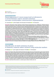 ИДЕНТИФИКАЦИЯ SR ГЕНОВ ВОЗРАСТНОЙ УСТОЙЧИВОСТИ В ОТЕЧЕСТВЕННЫХ СОРТАХ МЯГКОЙ ПШЕНИЦЫ МЕТОДОМ МОЛЕКУЛЯРНО-ГЕНЕТИЧЕСКОГО МАРКИРОВАНИЯ