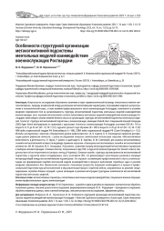 ОСОБЕННОСТИ СТРУКТУРНОЙ ОРГАНИЗАЦИИ МЕТАКОГНИТИВНОЙ ПОДСИСТЕМЫ МЕНТАЛЬНЫХ МОДЕЛЕЙ ВЗАИМОДЕЙСТВИЯ ВОЕННОСЛУЖАЩИХ РОСГВАРДИИ
