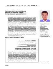 Принцип наилучших интересов ребенка в судебных спорах: международно-правовой аспект