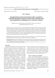 ПРОЯВЛЕНИЕ ОНТОГЕНЕТИЧЕСКОЙ ТАКТИКИ В ФОРМИРОВАНИИ МОРФОЛОГИЧЕСКИХ ПРИЗНАКОВ ЛИСТОВОЙ ПЛАСТИНКИ BETULA PENDULA ROTH