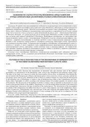 ОСОБЕННОСТИ УЛЬТРАСТРУКТУРЫ МЕЗОНЕФРОСА ПРЕДСТАВИТЕЛЕЙ ОТРЯДА СОМООБРАЗНЫЕ (SILURIFORMES) РАЗНЫХ КЛИМАТИЧЕСКИХ ПОЯСОВ