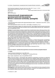 ЗАКЛЮЧИТЕЛЬНЫЙ, ПОЗДНЕКАМПАНСКИЙ - РАННЕМААСТРИХТСКИЙ ЭТАП РАЗВИТИЯ MICRASTER И ISOMICRASTER (ECHINOIDEA, SPATANGOIDA)