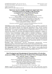 Краткая эколого-морфологическая характеристика Scolochloa festucacea (Willd.) Link (Poaceae) в северной части Европейской России