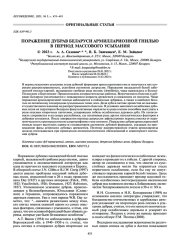 ПОРАЖЕНИЕ ДУБРАВ БЕЛАРУСИ АРМИЛЛАРИОЗНОЙ ГНИЛЬЮ В ПЕРИОД МАССОВОГО УСЫХАНИЯ