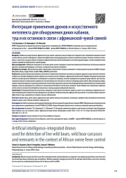 Интеграция применения дронов и искусственного интеллекта для обнаружения диких кабанов, туш и их останков в связи с африканской чумой свиней