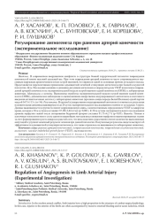 Регулирование ангиогенеза при ранении артерий конечности (экспериментальное исследование)