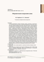 Оборонительное вооружение хунну