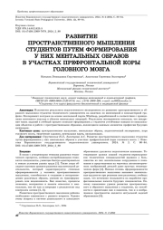 РАЗВИТИЕ ПРОСТРАНСТВЕННОГО МЫШЛЕНИЯ СТУДЕНТОВ ПУТЕМ ФОРМИРОВАНИЯ У НИХ МЕНТАЛЬНЫХ ОБРАЗОВ В УЧАСТКАХ ПРЕФРОНТАЛЬНОЙ КОРЫ ГОЛОВНОГО МОЗГА