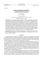 Малое инновационное предприятие в высокотехнологичном бизнесе