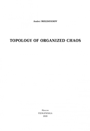 ТОПОЛОГИЯ ОРГАНИЗОВАННОГО ХАОСА

