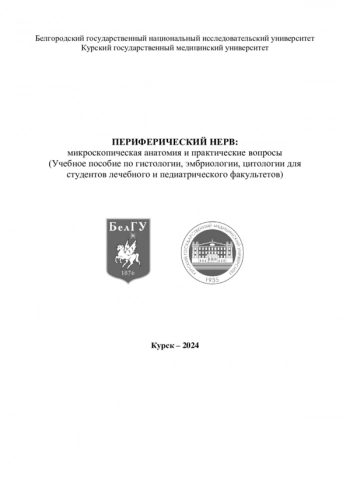 ПЕРИФЕРИЧЕСКИЙ НЕРВ: МИКРОСКОПИЧЕСКАЯ АНАТОМИЯ И ПРАКТИЧЕСКИЕ ВОПРОСЫ