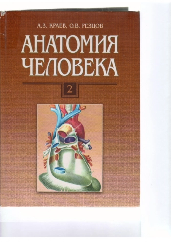 АНАТОМИЯ ЧЕЛОВЕКА