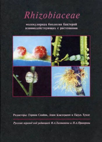Rhizobiaceae молекулярная биология бактерий взаимодействующих с растениями