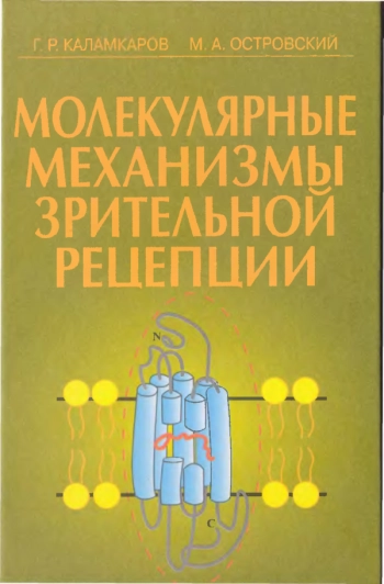 Молекулярные механизмы зрительной рецепции