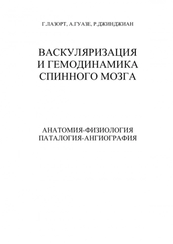 Васкуляризация и гемодинамика спинного мозга. Часть I