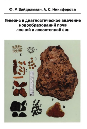Генезис и диагностическое значение новообразований почв лесной и лесостепной зон