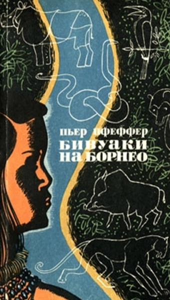 Бивуаки на Борнео