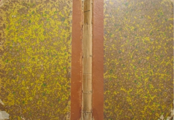 Психические расстройства в детском возрасте