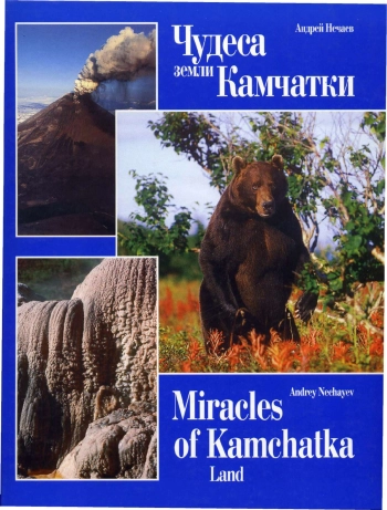 Чудеса земли Камчатки