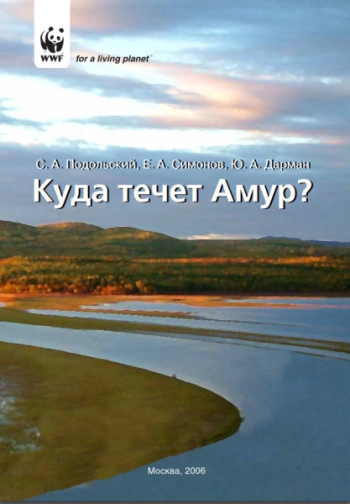 Куда течет Амур