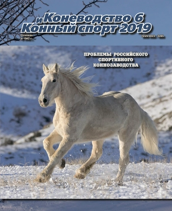КОНЕВОДСТВО И КОННЫЙ СПОРТ