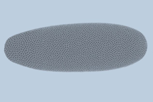 Новая модель ИИ отслеживает развитие жизни на клеточном уровне